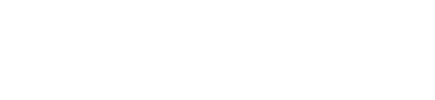 White Insight Logo